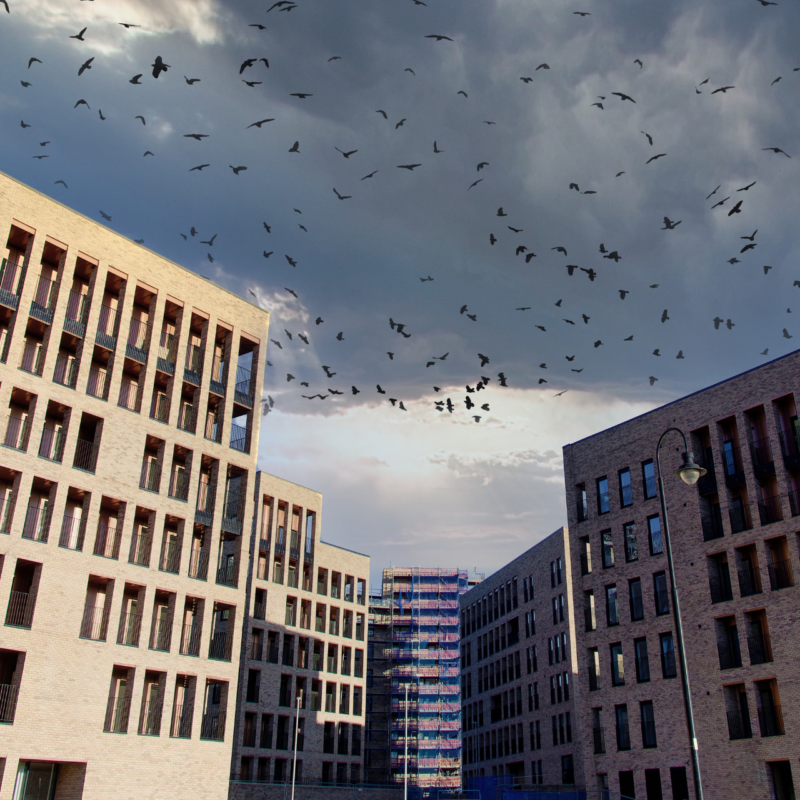 Student Developments