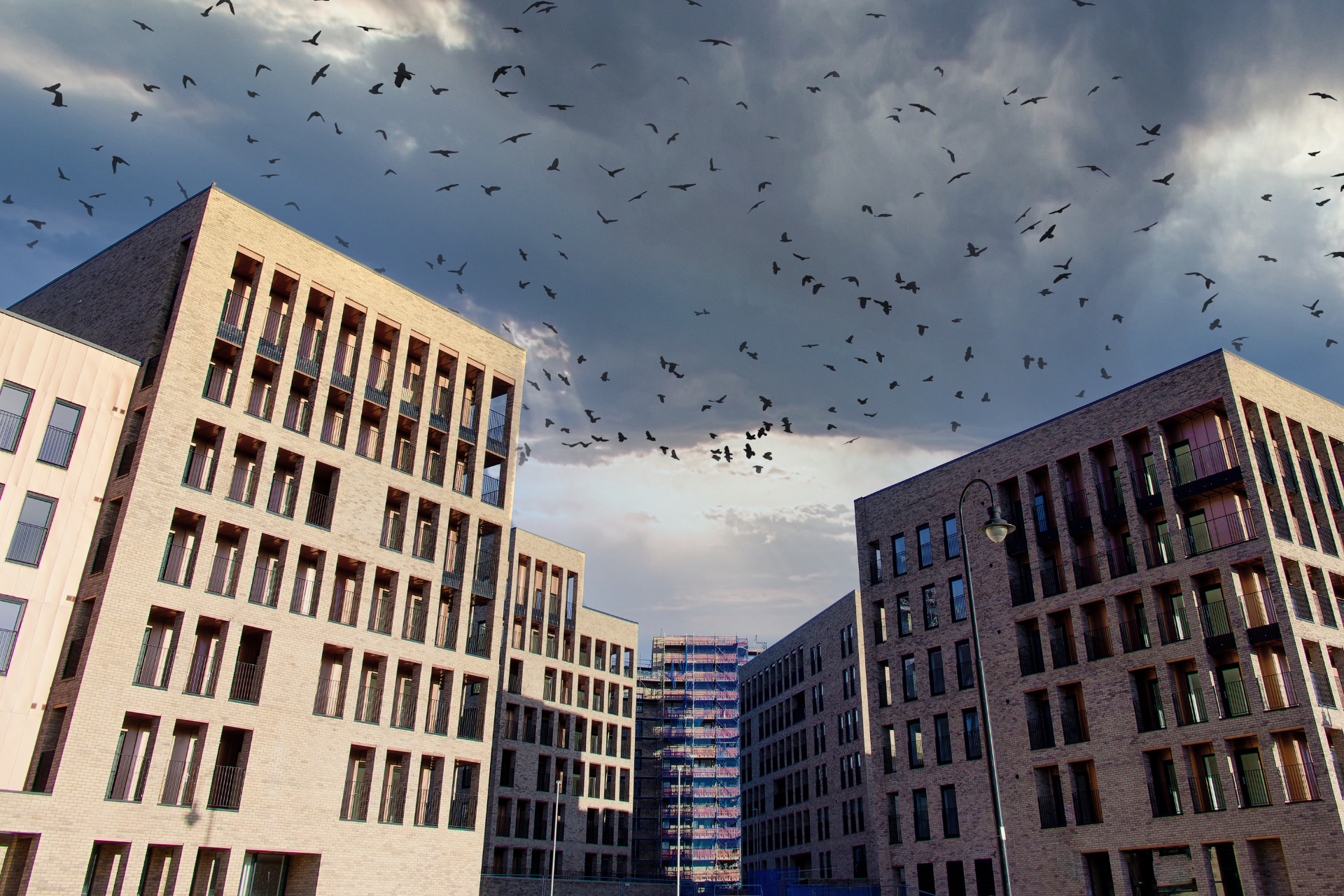 Student Developments: Why Purpose-Built Student Accommodation Still Delivers