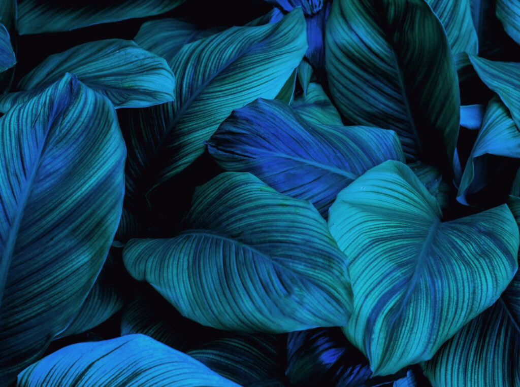 Vista River Gardens - Leaf BG